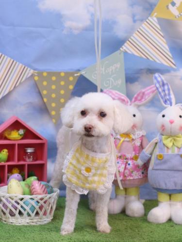 20240312ネネちゃん